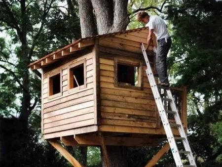 La cabane dans les arbres