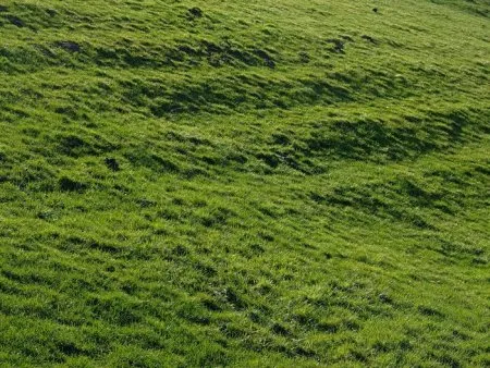 En fonction de son terrain
