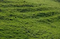 Vignette de l'article : En fonction de son terrain
