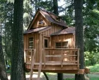 Vignette de l'article : La cabane à forme libre ou combinée