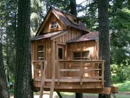 La cabane à forme libre ou combinée