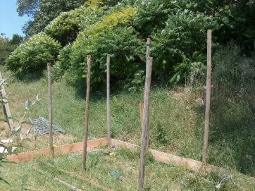 Les poteaux sont plantés dans le sol